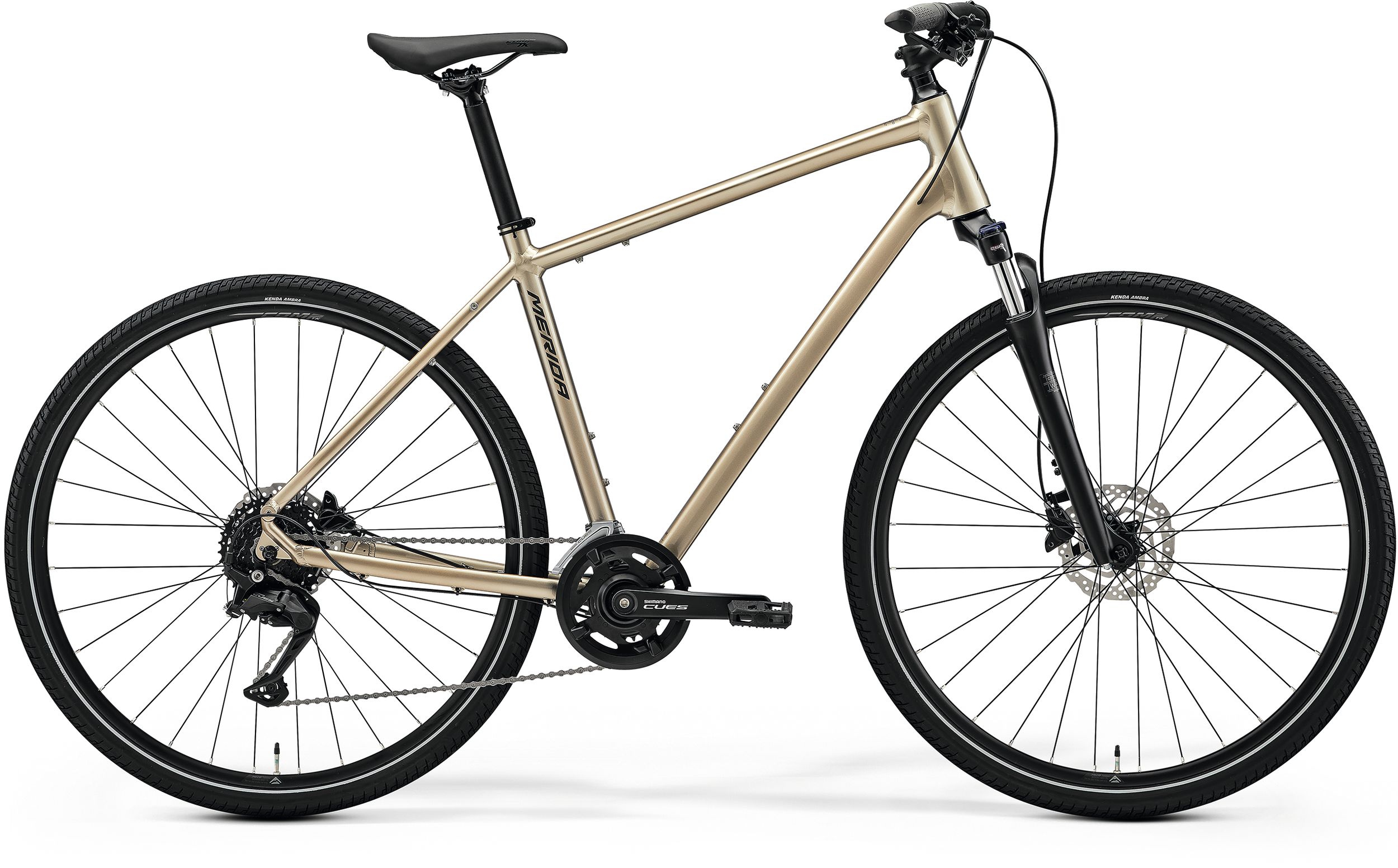 CROSSWAY 100 (2026)