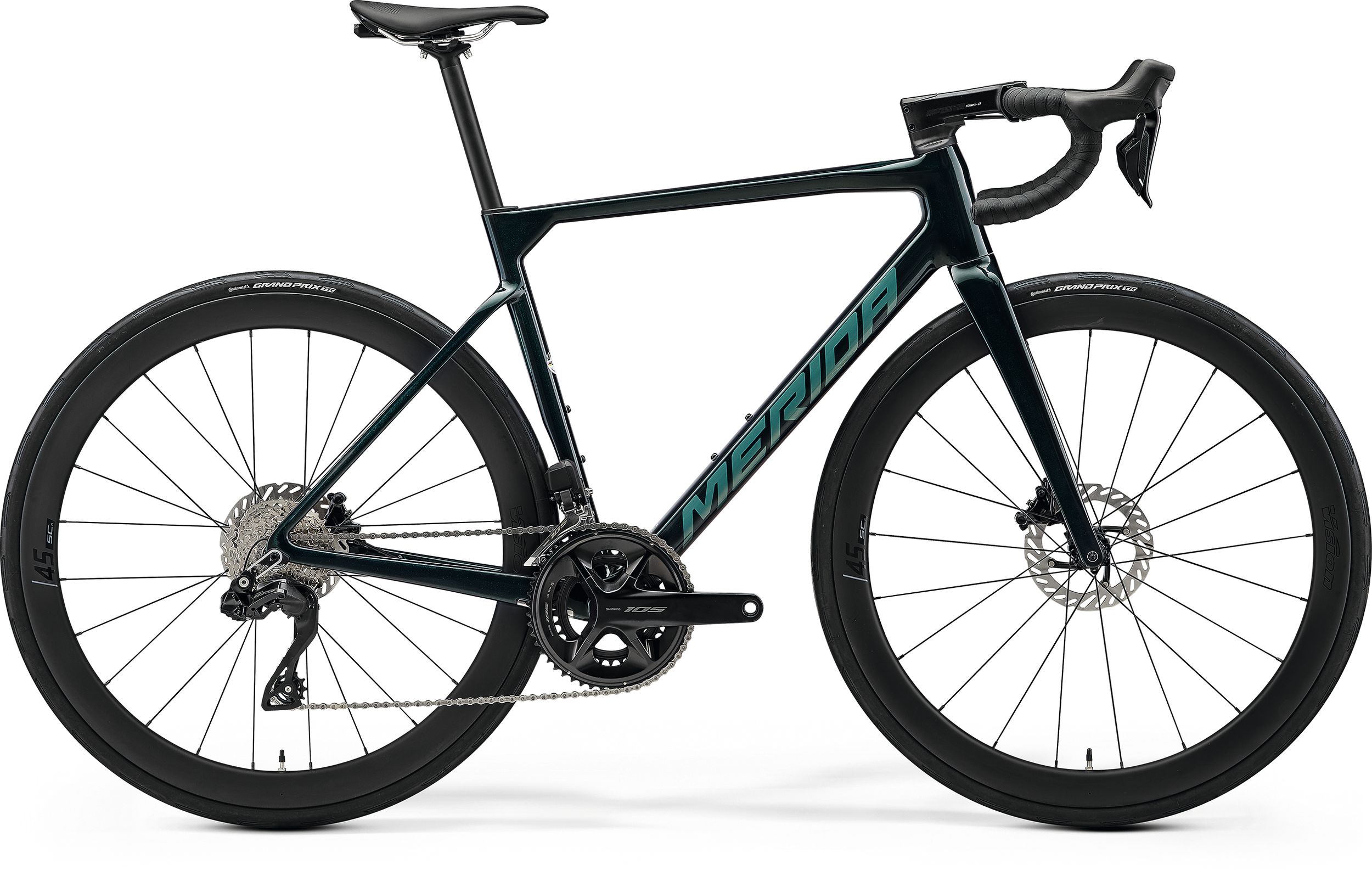 SCULTURA 6000 (2026)
