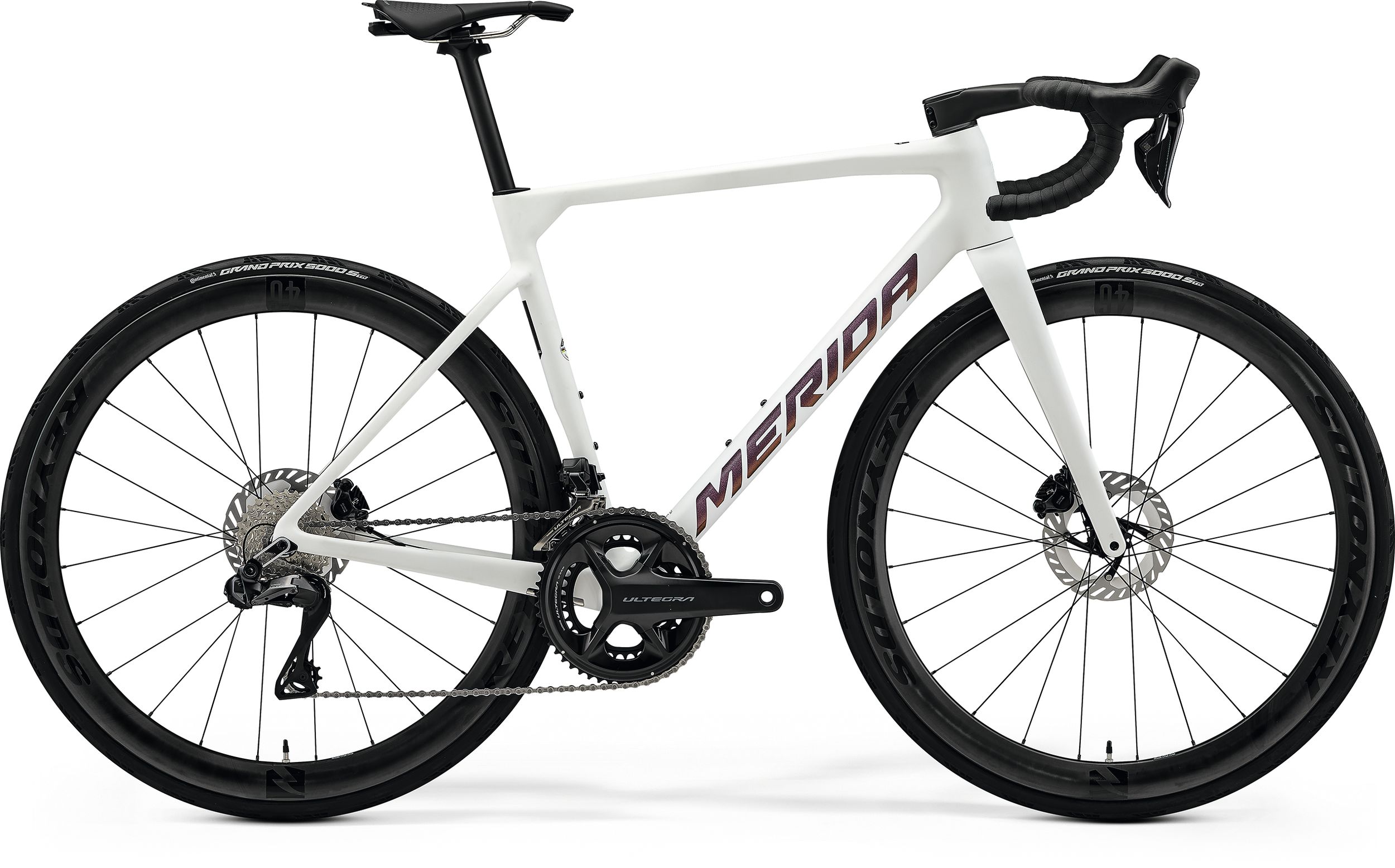 SCULTURA 8000 (2026)